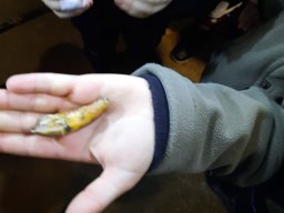 Besuch Kinderfeuerwehr in der Teufelshöhle